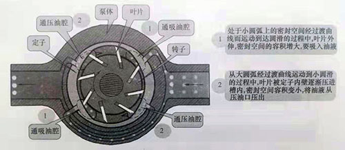 <strong>葉片泵（雙作用葉片泵及單作用葉</strong>